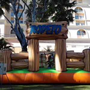 Touro Mecânico Boiadeiro