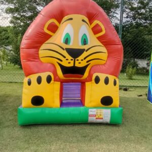 Pula Pula Leãozinho