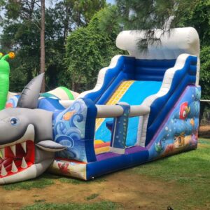 Tobogã Gigante Tubarão