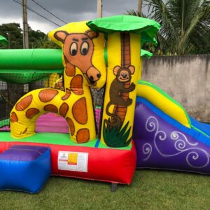 Pula Pula Girafa com Mini Tobogã