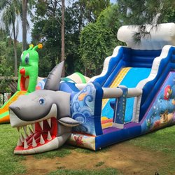 12 - Tobogã gigante Tubarão - 12.0m x 5.00m x 7.50m