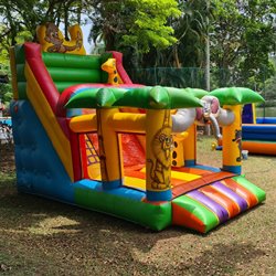 3 - Tobogã Floresta - 7.00m x 3.00m x 5.00m