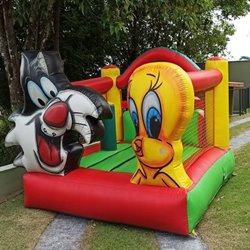 4 - Pula pula Piu Piu e Frajola - 5.00m x 4.00m x 2.60m