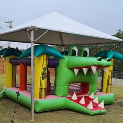 5 - Pula pula Jacaré - 5.00m x 5.00m