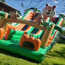 9 - Tobogã Tigrão - 9.00m x 5.00m x 6.00m