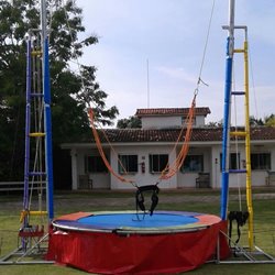 Aero Trampolim - 6.00m (D) x 6.00m (A)