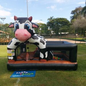 Combo 3 em 1 Vaquinha