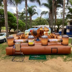 Touro Mecânico Play Park