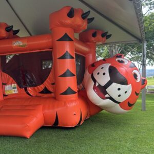 Kidplay Tigrão Cabeçudo