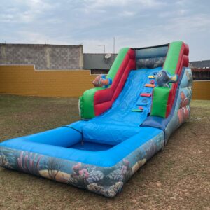 Toboágua Nemo com Piscina