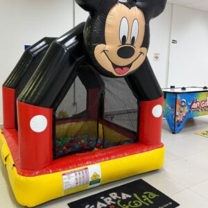 Piscina de Bolinhas do Mickey